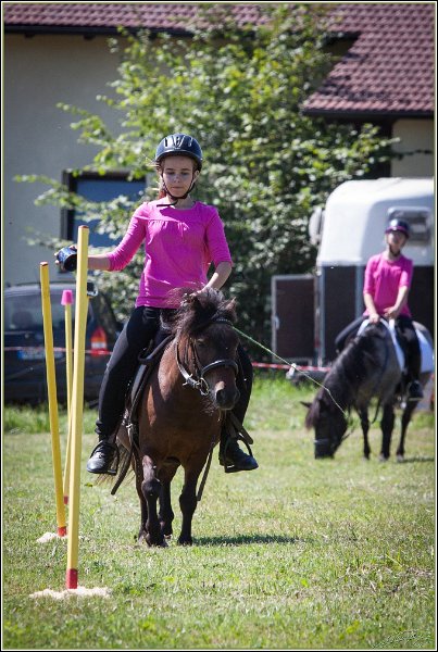 Mounted Games 102